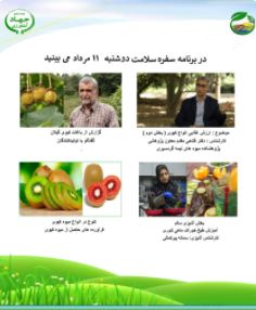 ارزش غذایی کیوی 