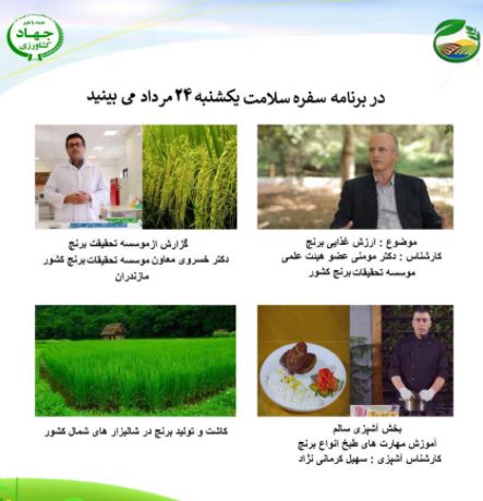 ارزش غذایی برنج چیست 
