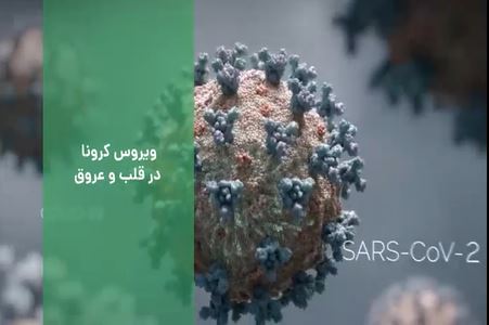 ویروس کرونا در قلب و عروق سیستم انعقادی بدن را فعال کرد 