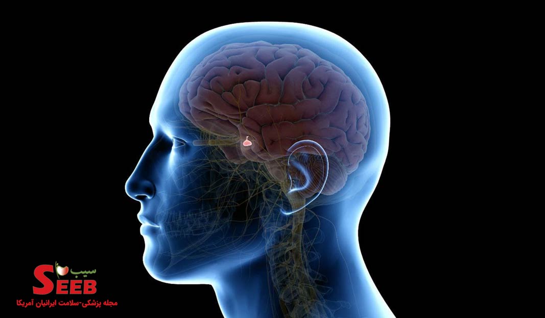 سرطان یا تومور غده هیپوفیز، علائم، نشانه‌ها و راه‌های درمان آن