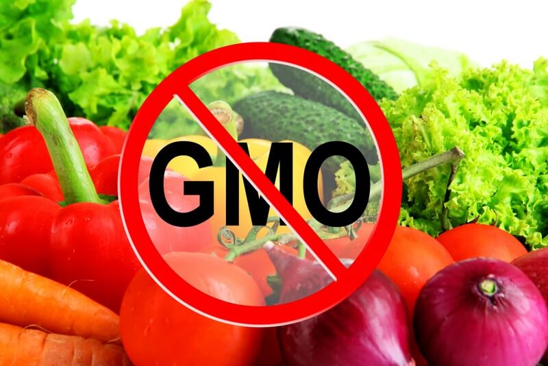 محصولات دست کاری شده ژنتیکی (GMO) و تاثیرات مضر آنها بر روی محیط زیست و سلامت انسان – قسمت سوم