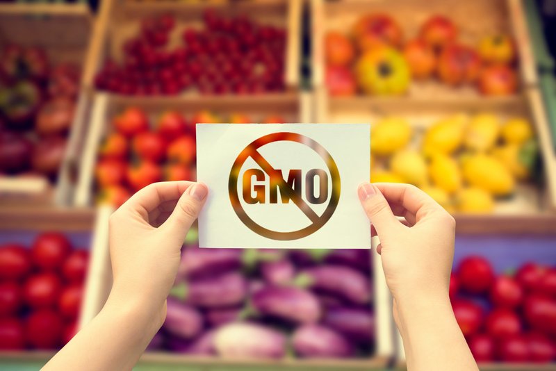 محصولات دست کاری شده ژنتیکی (GMO) و تاثیرات مضر آنها بر روی محیط زیست و سلامت انسان &#8211; قسمت اول