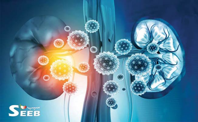 دفع پروتئین از کلیه چیست؟